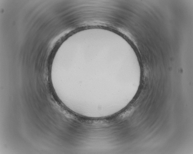 X0000074960979200609291908