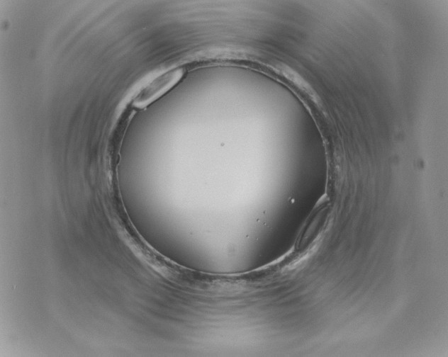 X0000074960981200609291908