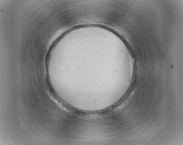 X0000074960982200609291908