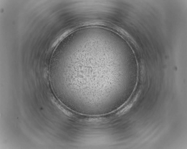 X0000074960985200609291908