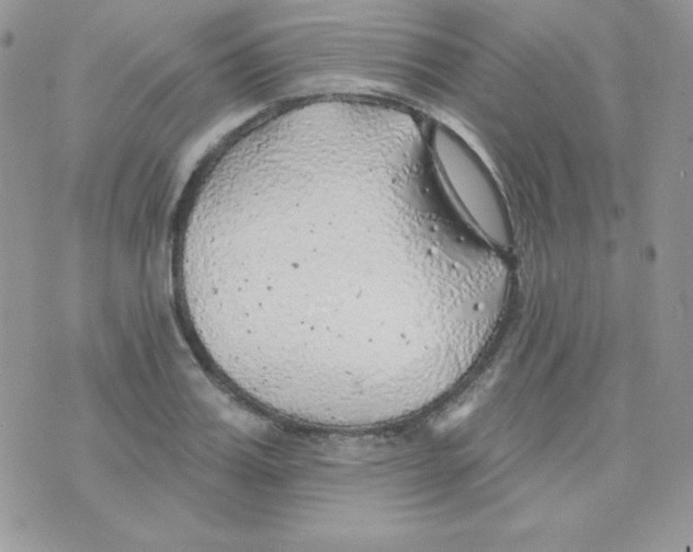 X0000074960987200609291908