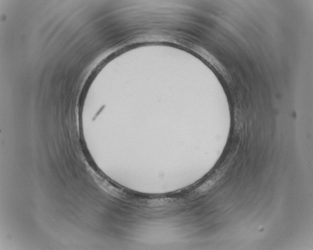 X0000074960988200609291908