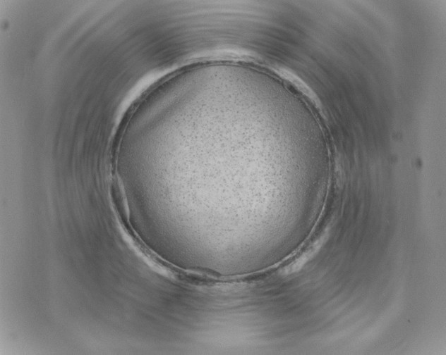 X0000074960989200609291908