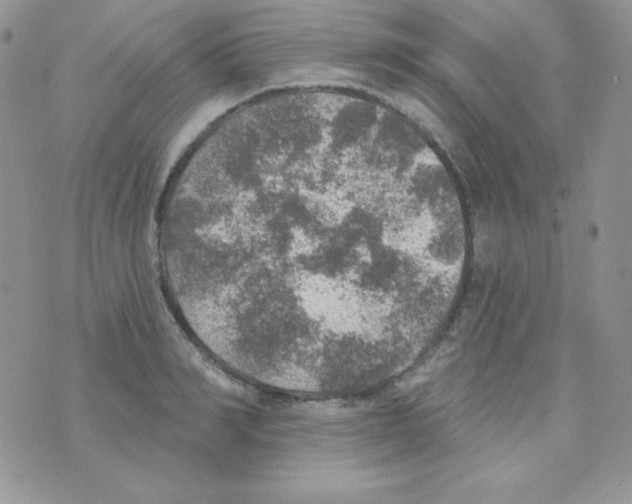 X0000074960990200609291908