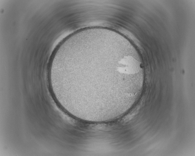 X0000074960991200609291908