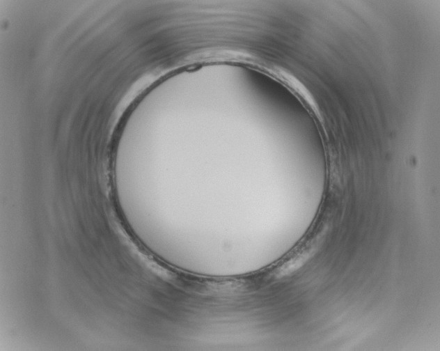 X0000074960997200609291908