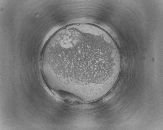 X0000074960998200609291908