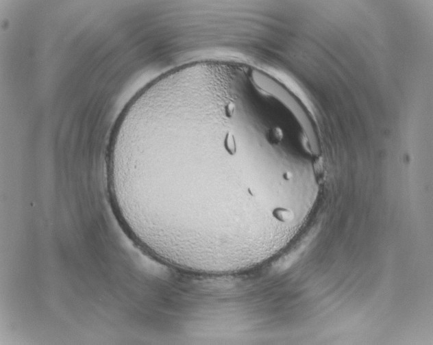 X0000074960999200609291908