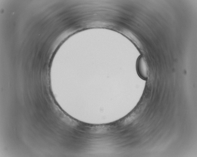 X0000074961000200609291908