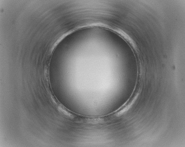 X0000074961001200609291908