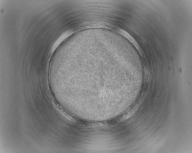 X0000074961002200609291908