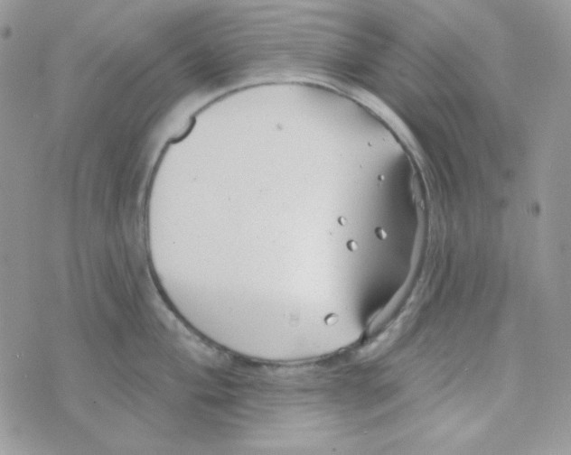 X0000074961004200609291908