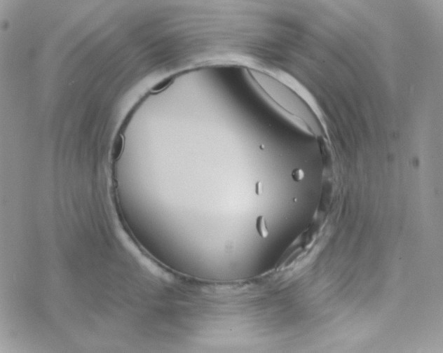 X0000074961005200609291908