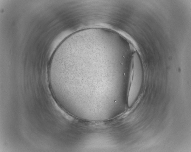 X0000074961006200609291908