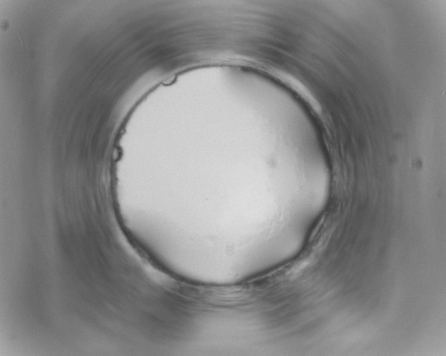 X0000074961007200609291908