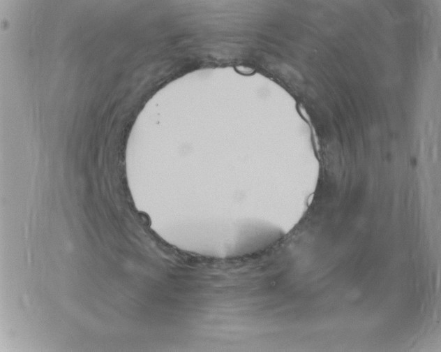 X0000074961009200609291907