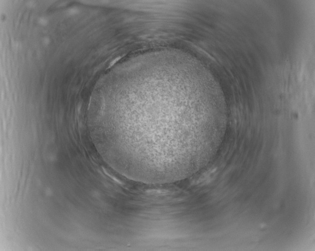 X0000074961010200609291907