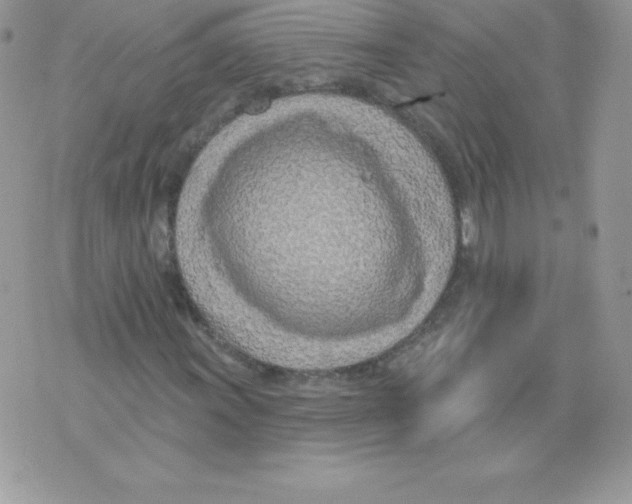 X0000074961011200609291907