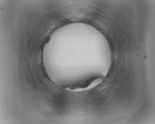 X0000074961012200609291907