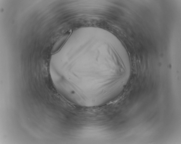 X0000074961013200609291907