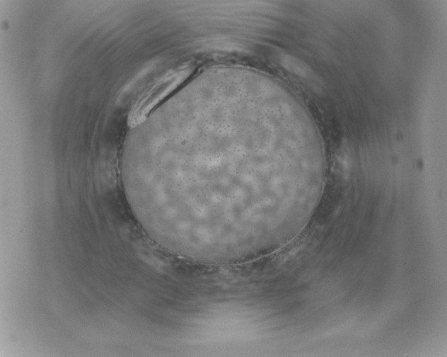 X0000074961014200609291907