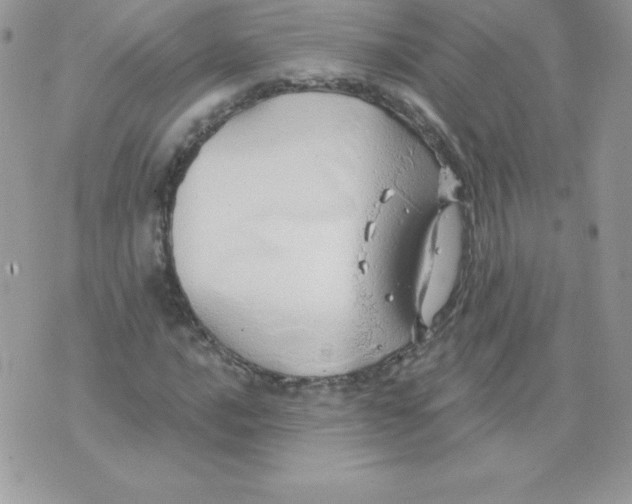 X0000074961016200609291907