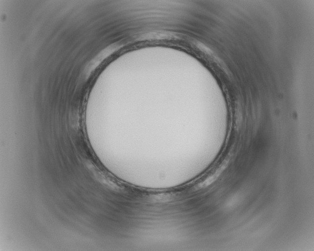 X0000074961017200609291907