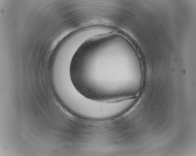 X0000074961018200609291907