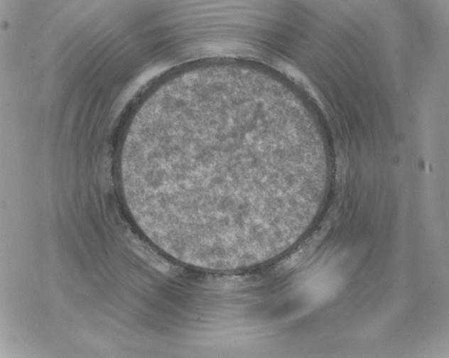 X0000074961019200609291907