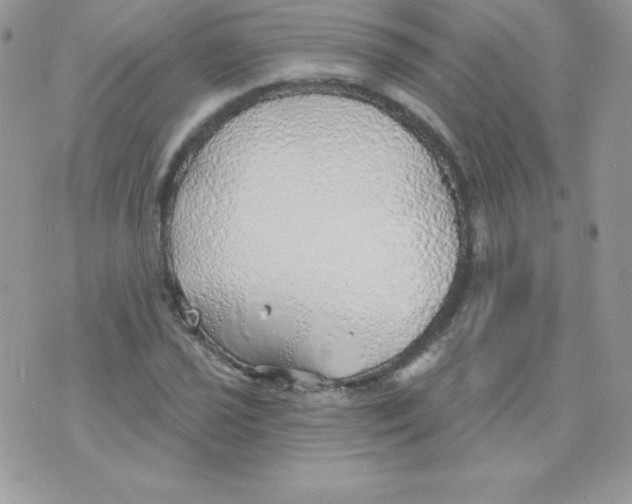 X0000074961021200609291907