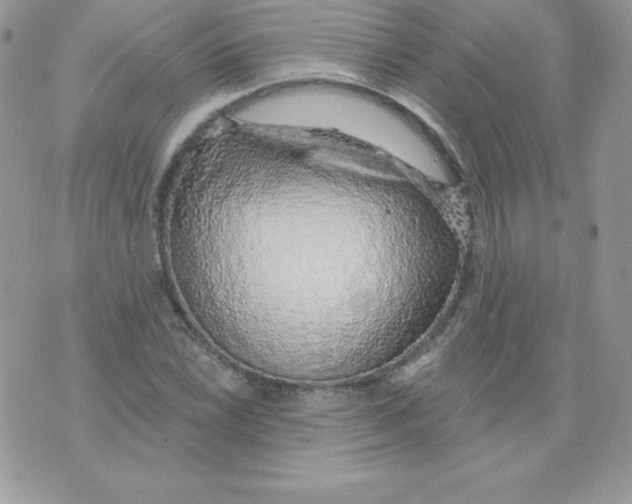 X0000074961022200609291907