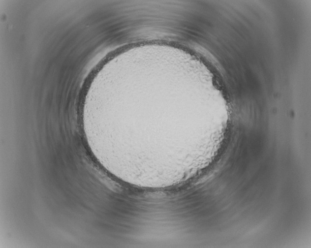 X0000074961023200609291907