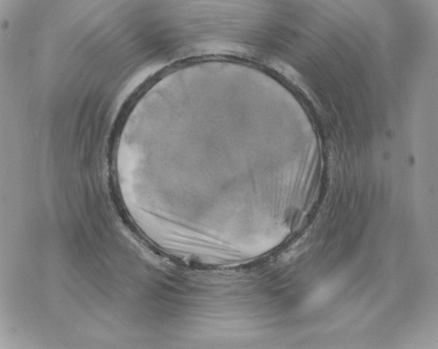 X0000074961024200609291907