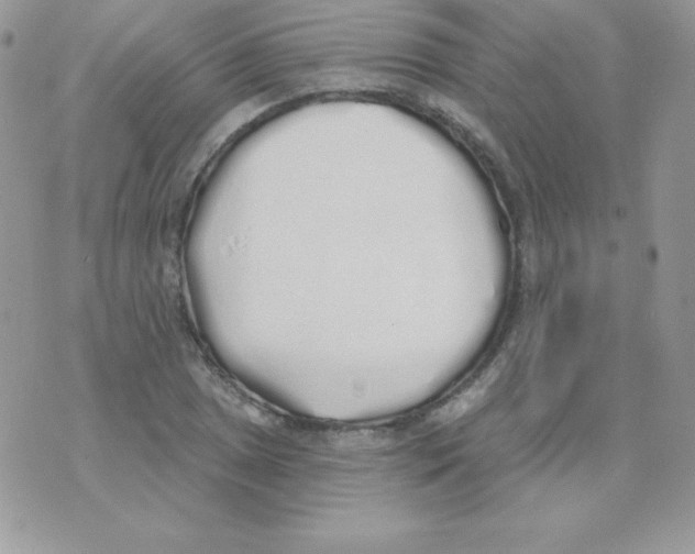 X0000074961025200609291907