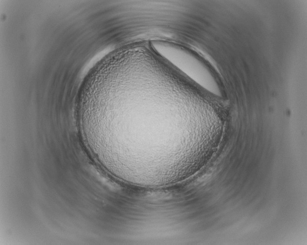 X0000074961026200609291907