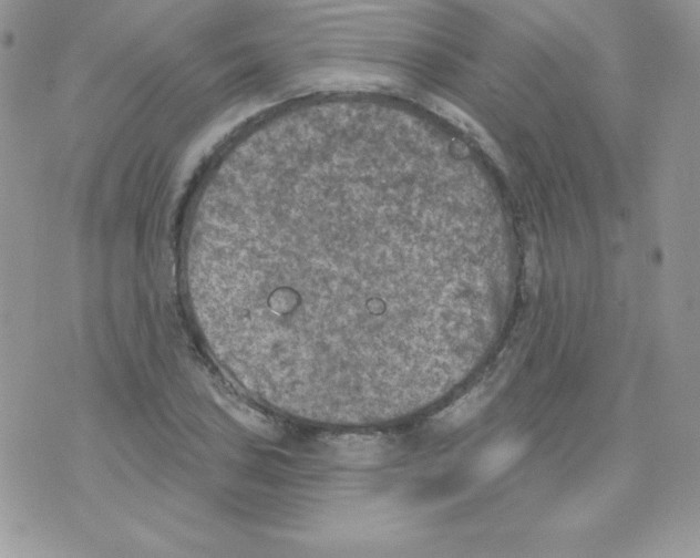 X0000074961027200609291907