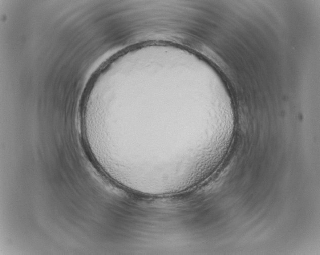 X0000074961028200609291907