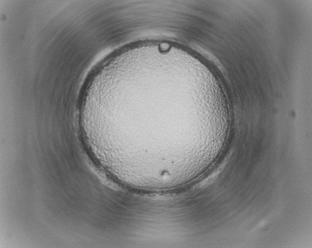 X0000074961029200609291907