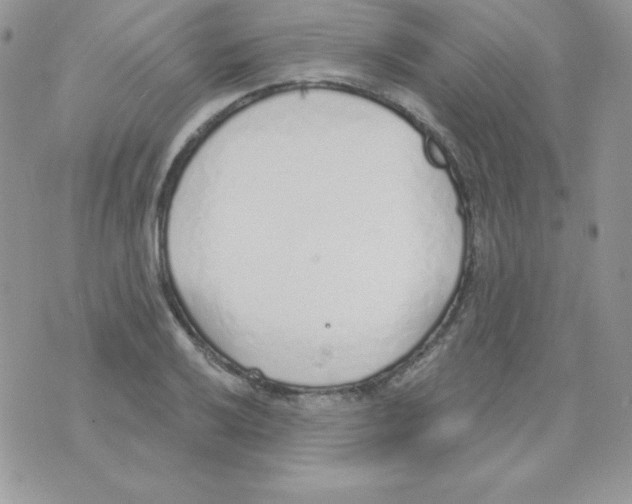 X0000074961032200609291907