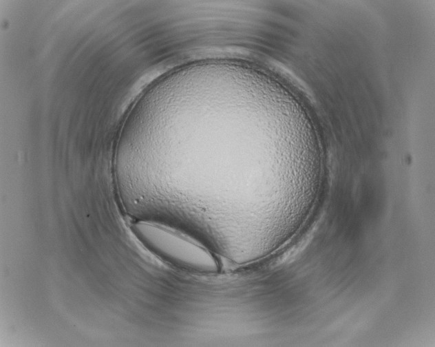 X0000074961033200609291907