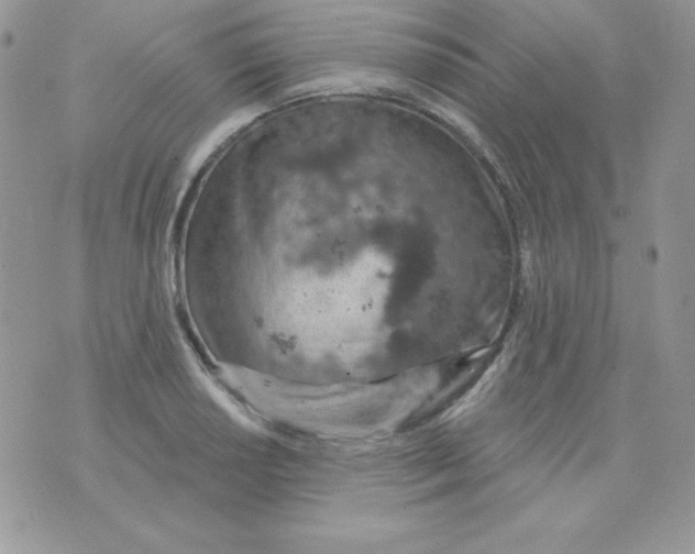 X0000074961034200609291907