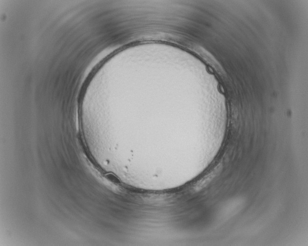 X0000074961036200609291907