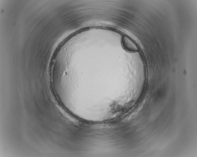 X0000074961037200609291907