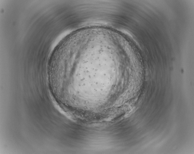 X0000074961038200609291907