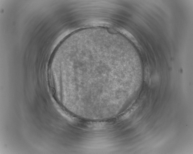 X0000074961039200609291907