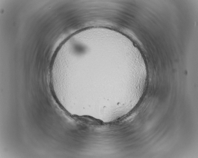 X0000074961040200609291907