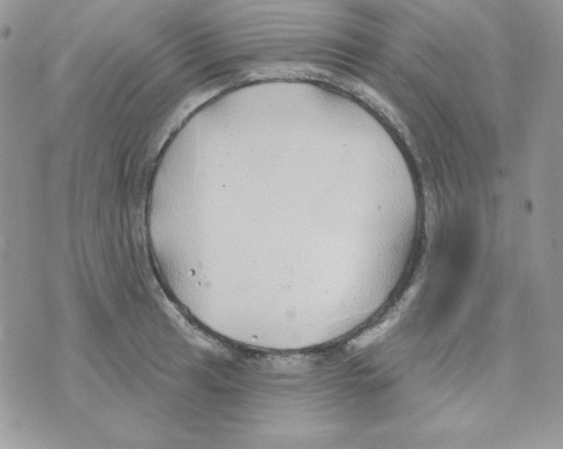 X0000074961041200609291908