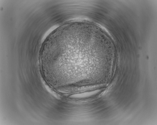 X0000074961042200609291908