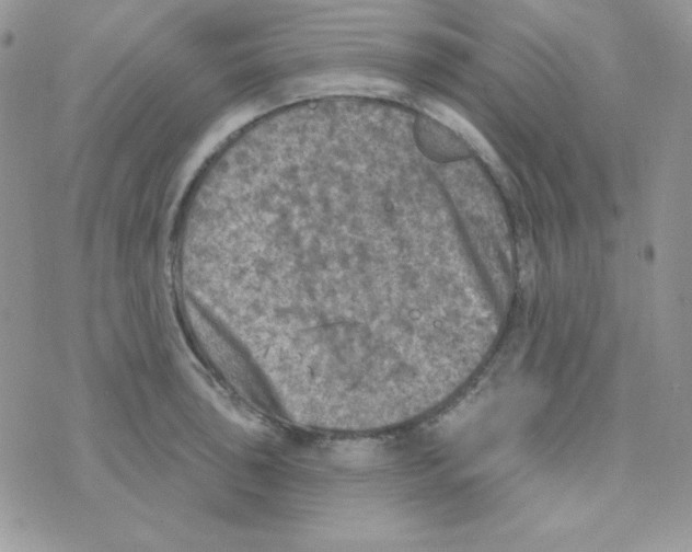 X0000074961043200609291908