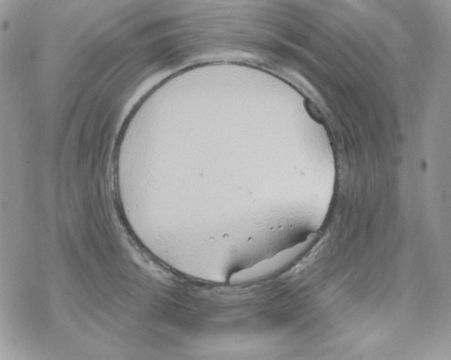 X0000074961044200609291908